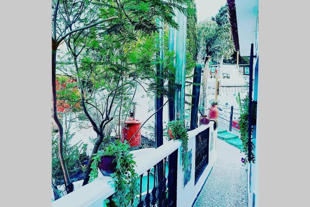 Gran Canaria La Finca De Carmelita Y Bartolito Las Palmas de Gran Canaria Esterno foto